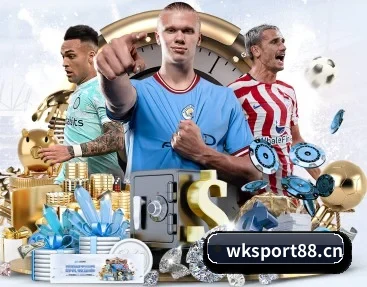 悟空体育sport88 APP